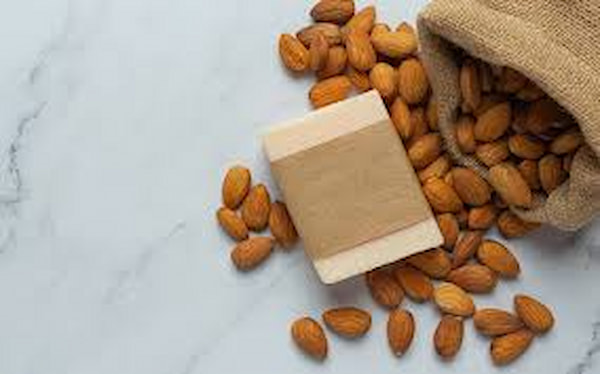 خرید بادام کوهی مرغوب + قیمت فروش استثنایی